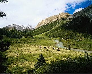 《魔戒：咕噜》新预告展示甘道夫等人全新形象设计