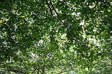 开放世界竞速游戏《破坏创造王》公布 支持简中