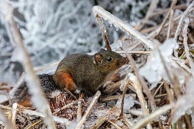 《创造吧！我们的星球》steam页面上线 开放世界星球探索